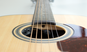 Imagem ilustrativa do captador GT02N da Harmonik Microphones